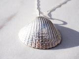 Big Shell Necklace