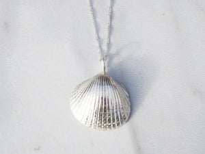 Big Shell Necklace