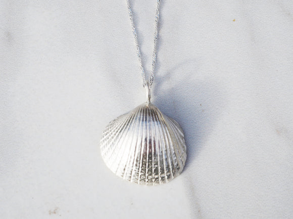 Big Shell Necklace