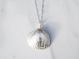 Big Shell Necklace