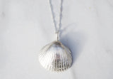 Big Shell Necklace