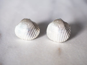 Silver Shell Studs