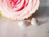 Silver Shell Studs